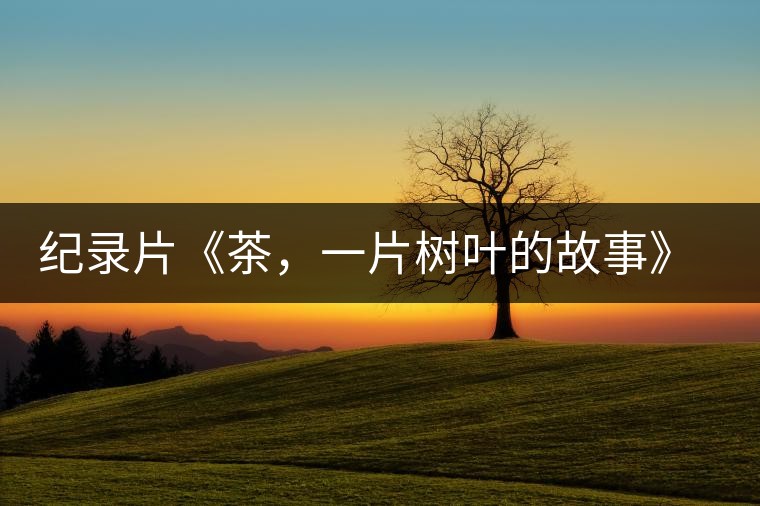 紀(jì)錄片《茶，一片樹(shù)葉的故事》 茶文化的詩(shī)意追尋