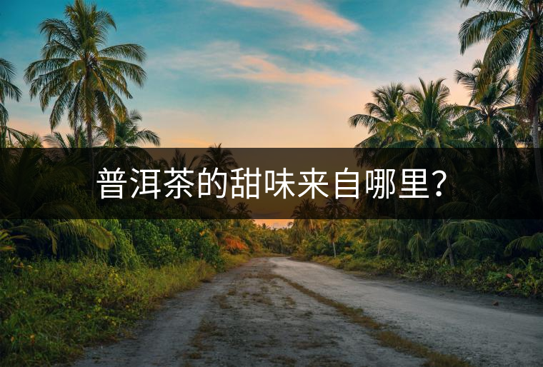 普洱茶的甜味來自哪里？