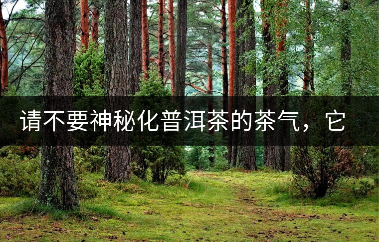 請不要神秘化普洱茶的茶氣，它是科學的存在