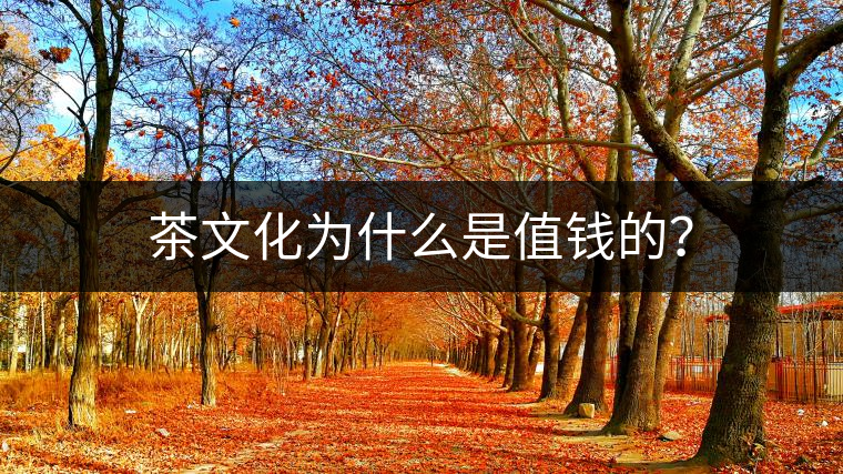 茶文化為什么是值錢的？