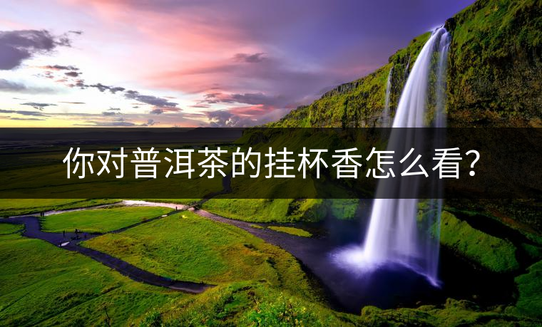 你對(duì)普洱茶的掛杯香怎么看？