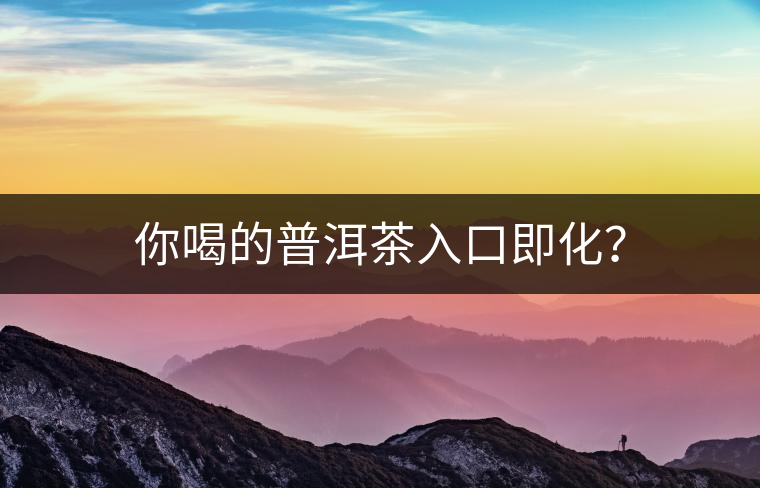 你喝的普洱茶入口即化？