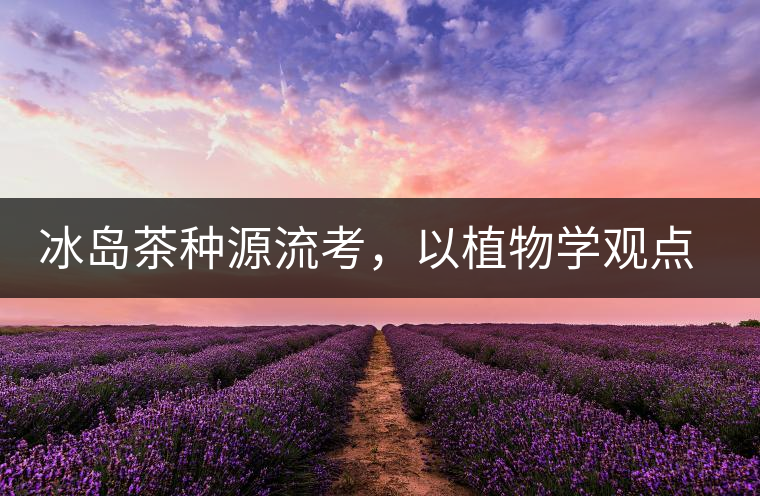 冰島茶種源流考，以植物學(xué)觀點(diǎn)解讀冰島茶