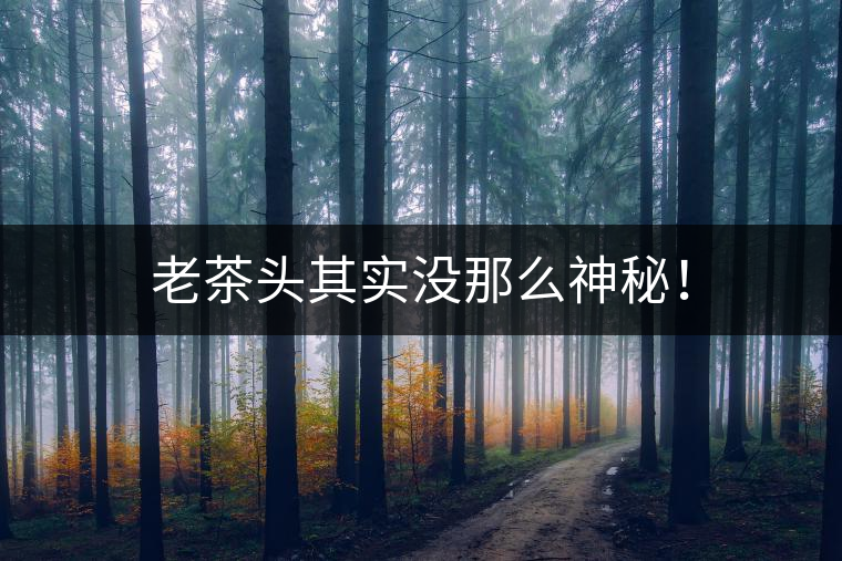 老茶頭其實沒那么神秘！