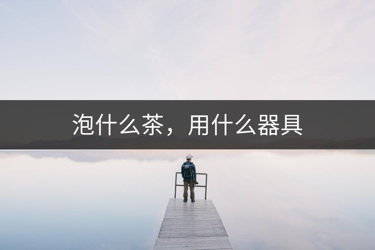 泡什么茶，用什么器具