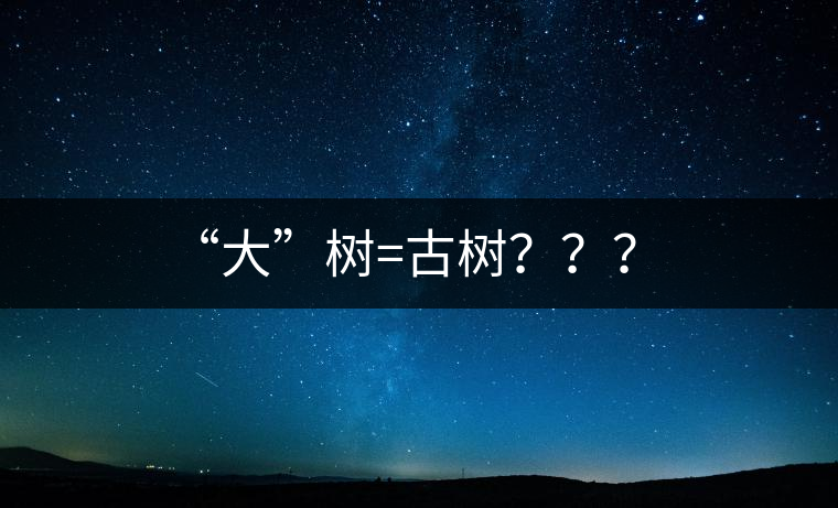“大”樹(shù)=古樹(shù)？？？