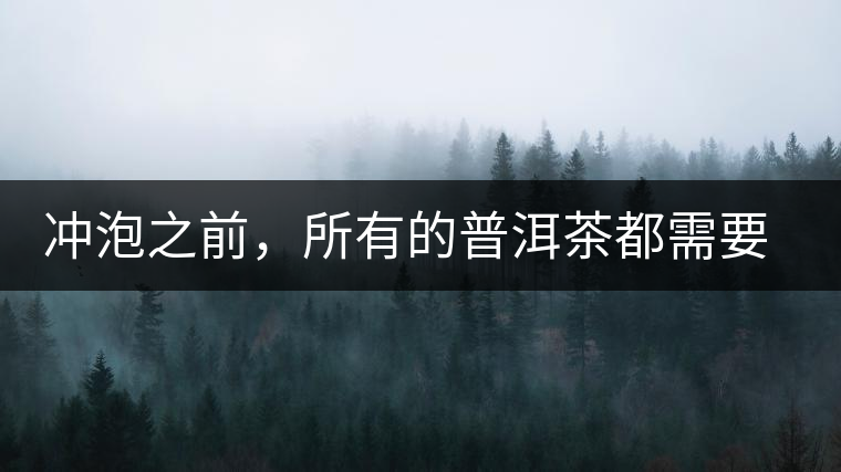 沖泡之前，所有的普洱茶都需要醒茶嗎？