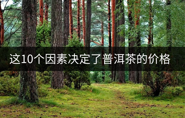 這10個因素決定了普洱茶的價格？