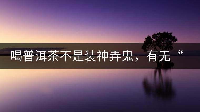 喝普洱茶不是裝神弄鬼，有無(wú)“茶氣”不要盲目崇拜