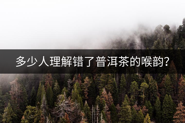 多少人理解錯(cuò)了普洱茶的喉韻？