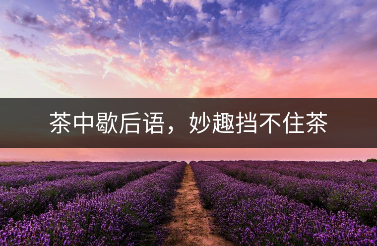 茶中歇后語(yǔ)，妙趣擋不住茶