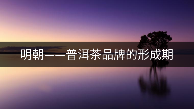 明朝——普洱茶品牌的形成期 明朝——普洱茶品牌的形成期