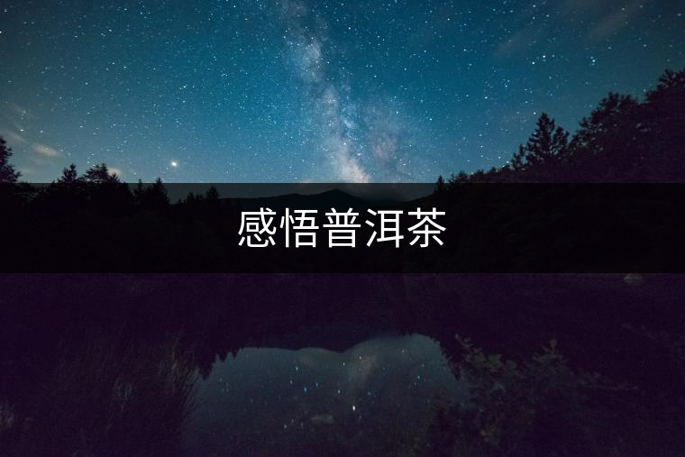 感悟普洱茶 感悟普洱茶