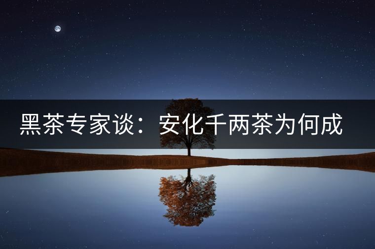 黑茶專家談：安化千兩茶為何成“世界茶王”？