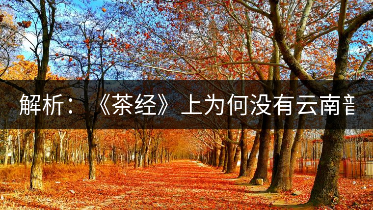 解析：《茶經(jīng)》上為何沒有云南普洱茶 ？