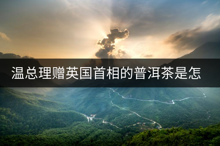 溫總理贈(zèng)英國(guó)首相的普洱茶是怎么制作的？