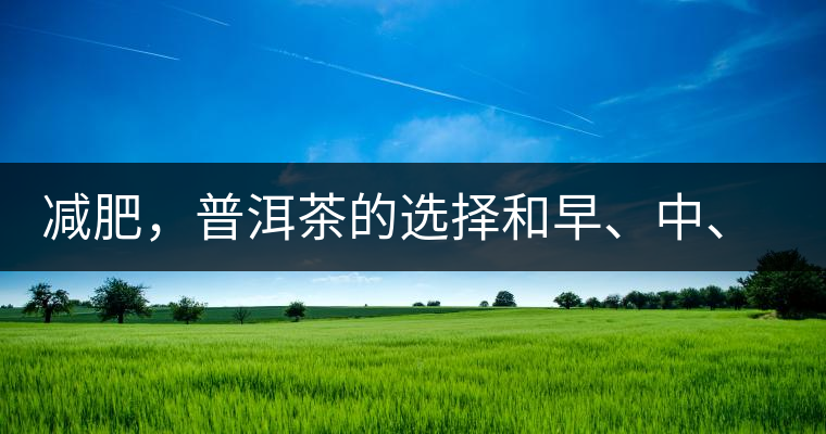 減肥，普洱茶的選擇和早、中、晚的喝法