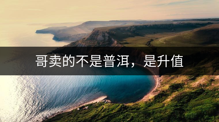 哥賣的不是普洱，是升值