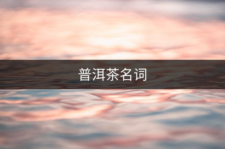 普洱茶名詞