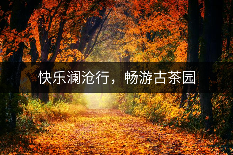 快樂瀾滄行，暢游古茶園