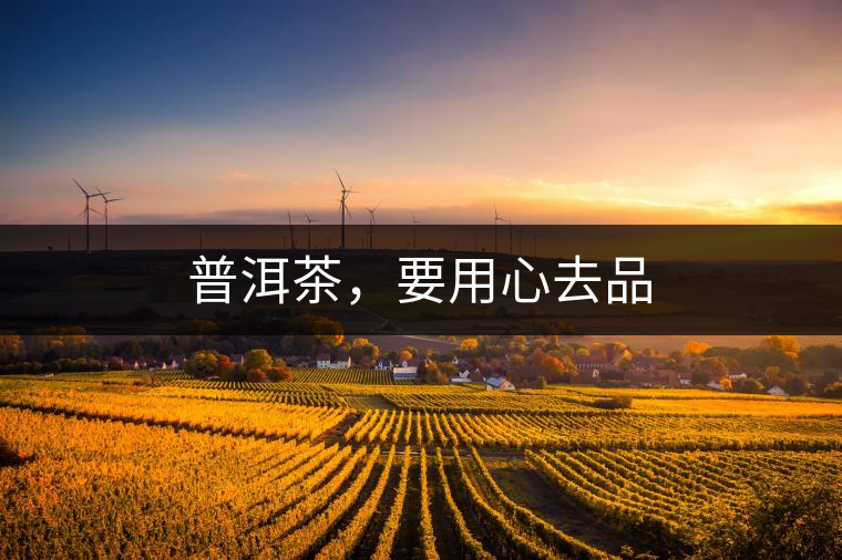 普洱茶，要用心去品