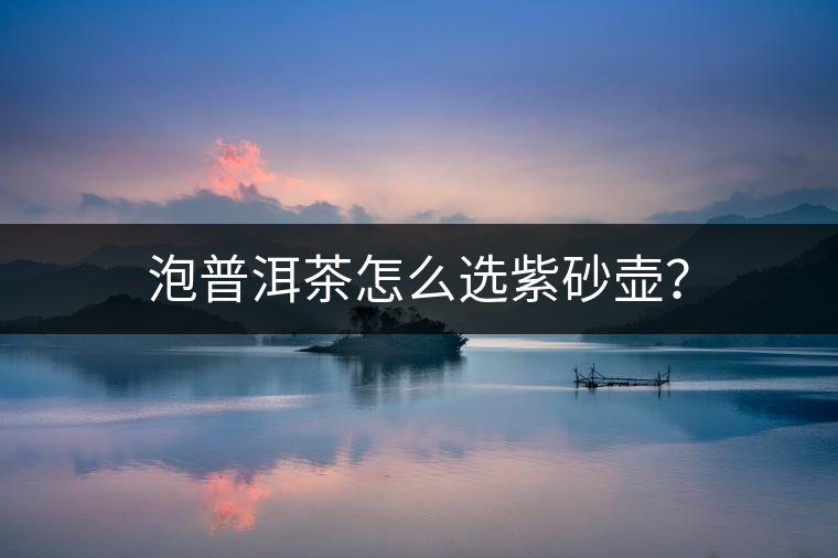 泡普洱茶怎么選紫砂壺？