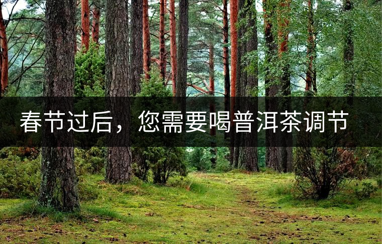 春節(jié)過后，您需要喝普洱茶調(diào)節(jié)身體