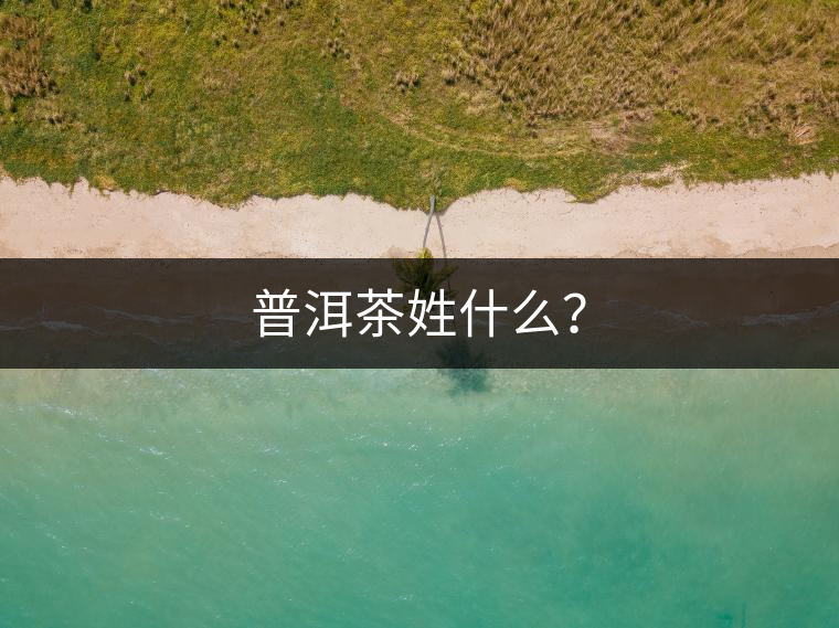 普洱茶姓什么？