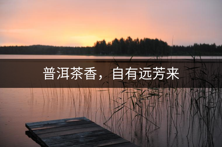 普洱茶香，自有遠芳來