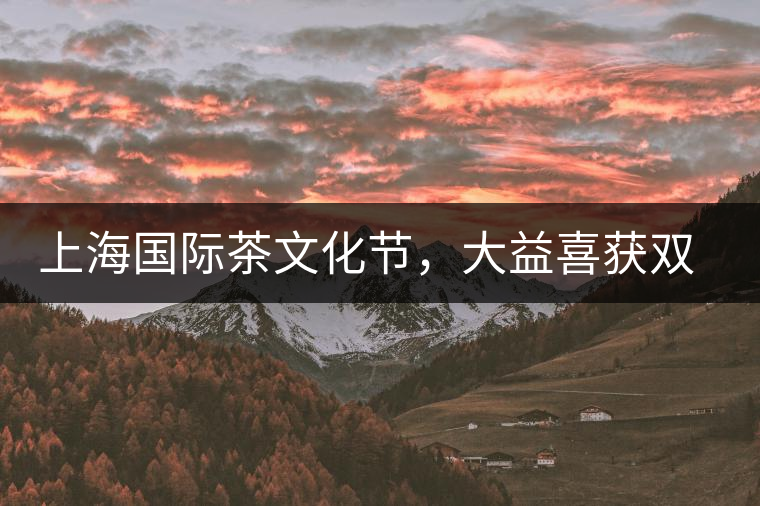 上海國際茶文化節(jié),大益喜獲雙獎 上海國際茶文化節(jié),大益喜獲雙獎