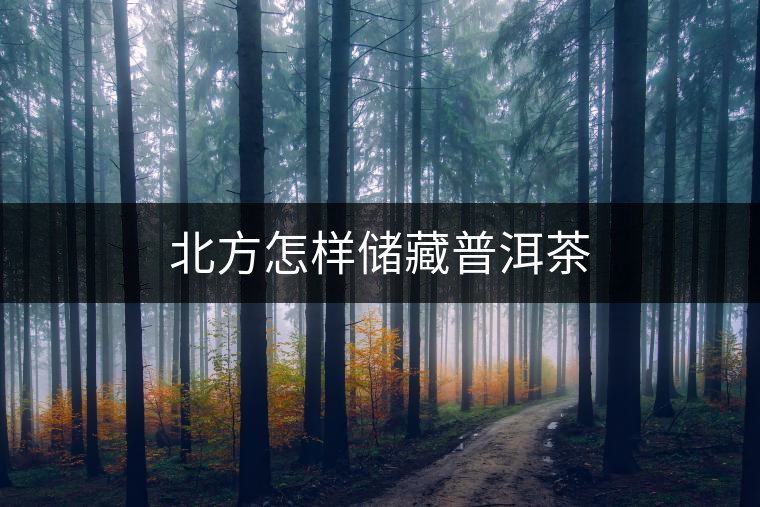 北方怎樣儲(chǔ)藏普洱茶