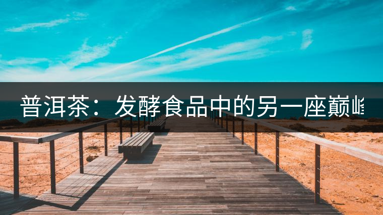 普洱茶：發(fā)酵食品中的另一座巔峰(下)