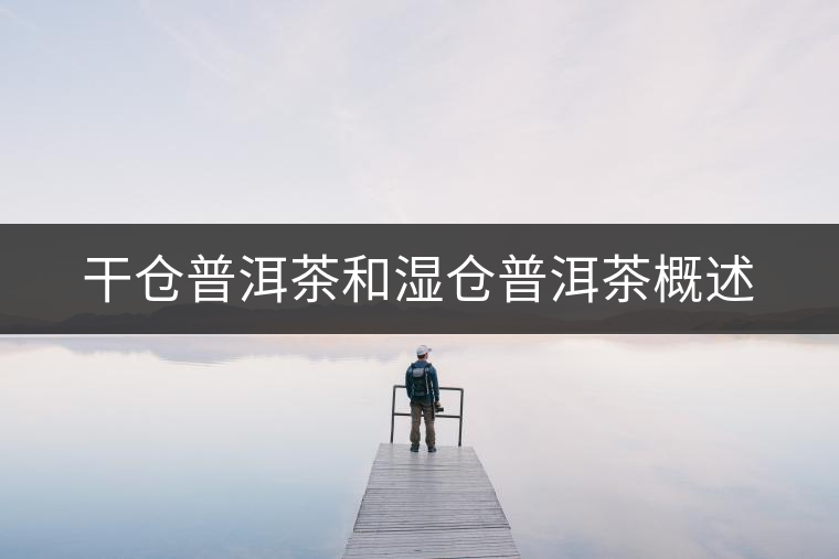 干倉普洱茶和濕倉普洱茶概述 干倉普洱茶和濕倉普洱茶概述