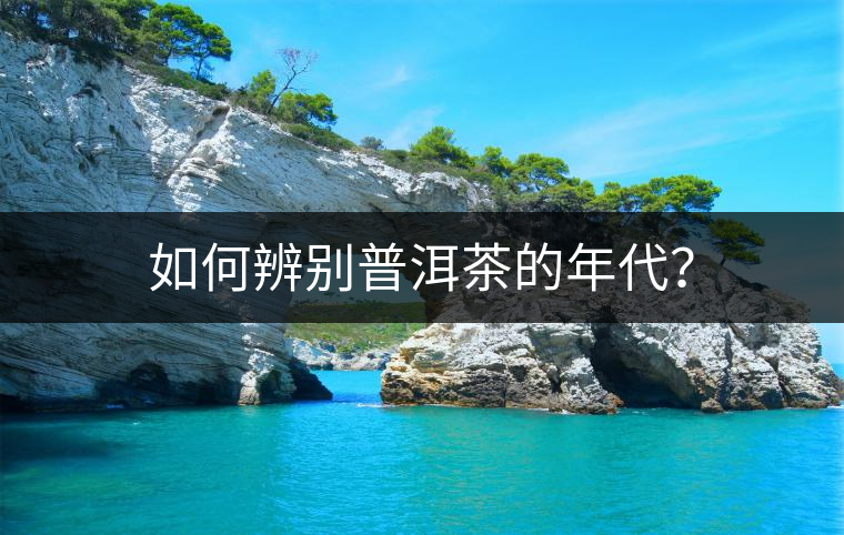 如何辨別普洱茶的年代？