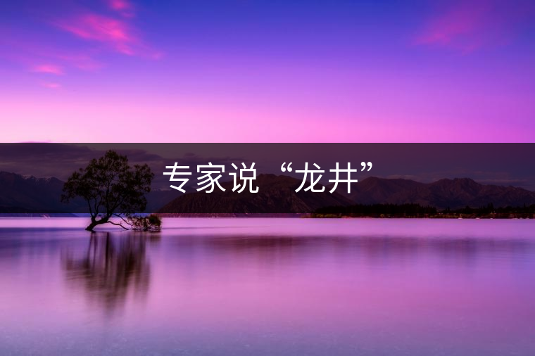 專家說“龍井” 專家說“龍井”