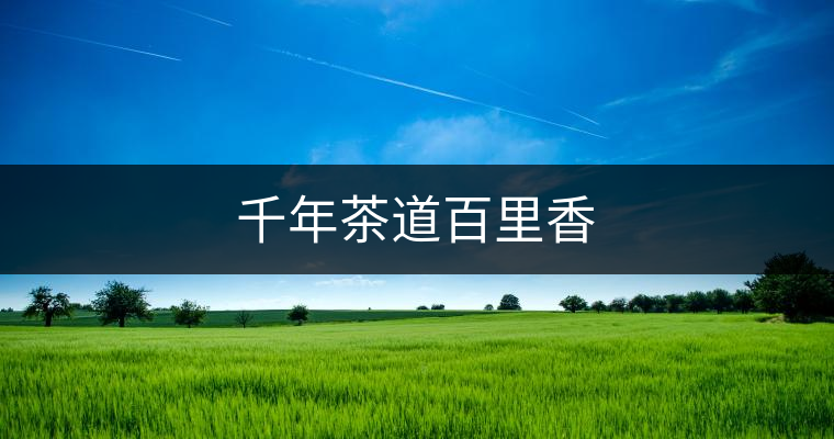 千年茶道百里香