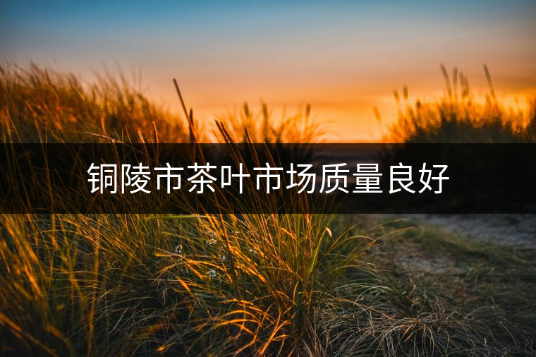銅陵市茶葉市場質(zhì)量良好