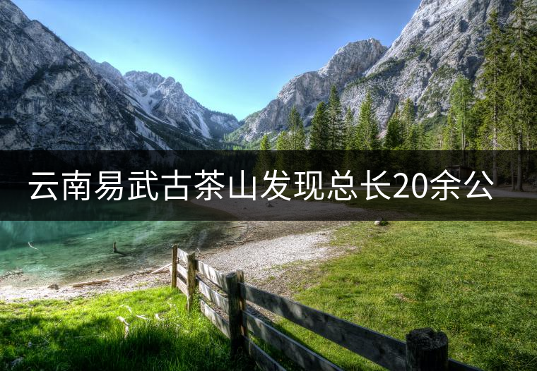 云南易武古茶山發(fā)現(xiàn)總長20余公里的茶馬古道