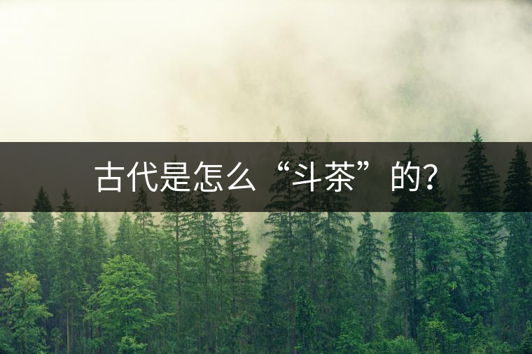 古代是怎么“斗茶”的？