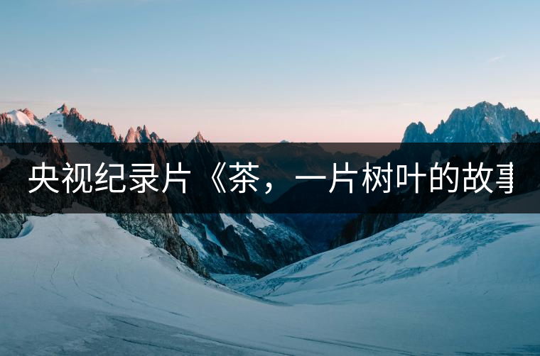 央視紀(jì)錄片《茶，一片樹葉的故事》紀(jì)錄片 昨晚開播
