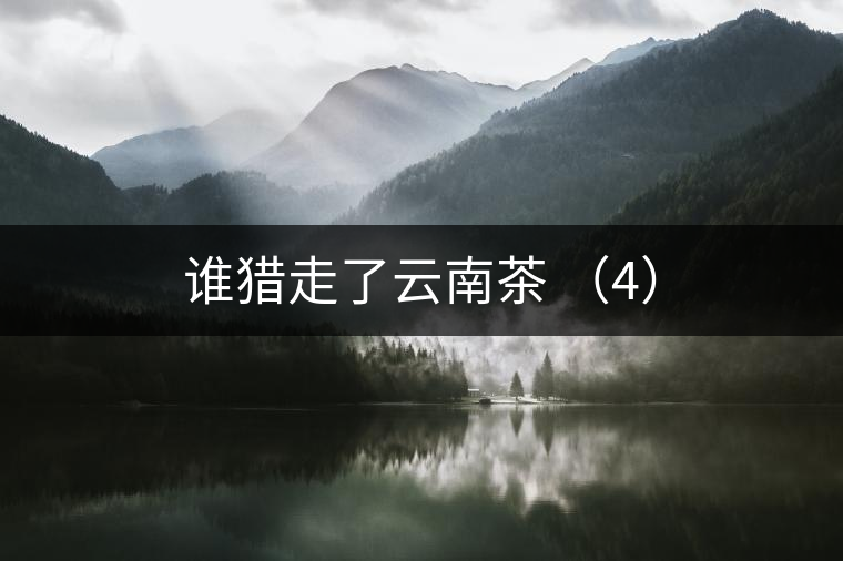 誰(shuí)獵走了云南茶 (4) 誰(shuí)獵走了云南茶 (4)