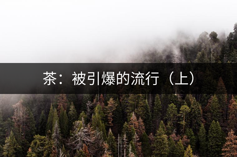 茶:被引爆的流行(上) 茶:被引爆的流行(上)