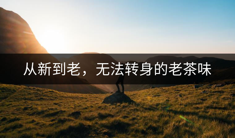 從新到老，無法轉(zhuǎn)身的老茶味