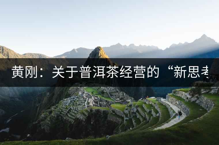 黃剛：關(guān)于普洱茶經(jīng)營的“新思考與新方法”（2014上/合集）