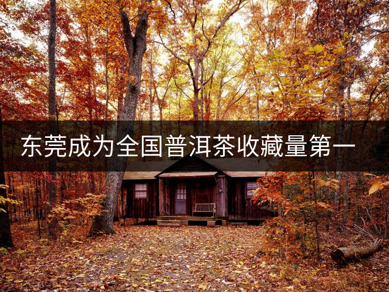 東莞成為全國(guó)普洱茶收藏量第一位的城市？