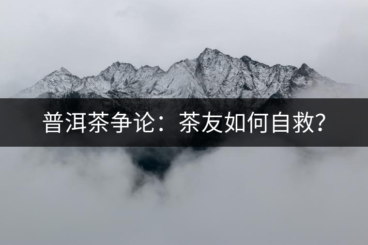 普洱茶爭論：茶友如何自救？