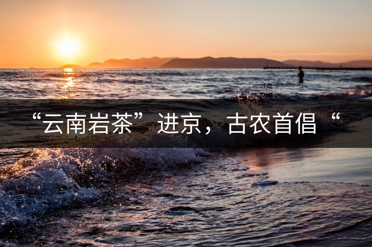 “云南巖茶”進京，古農(nóng)首倡“名茶+名企”戰(zhàn)略