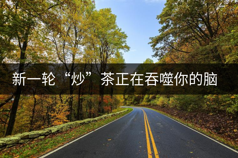 新一輪“炒”茶正在吞噬你的腦子，茶葉收藏不宜提倡