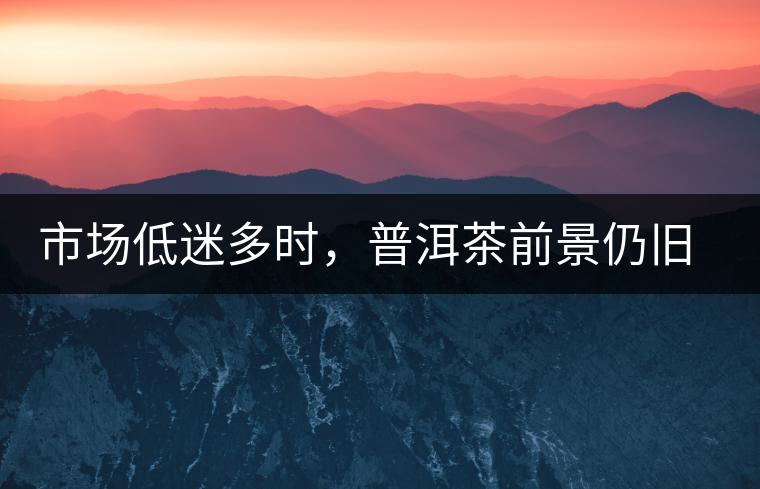 市場低迷多時，普洱茶前景仍舊被大佬們看好