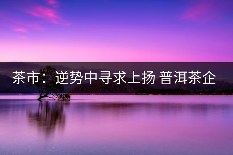 茶市：逆勢(shì)中尋求上揚(yáng) 普洱茶企靠什么打贏這場(chǎng)翻身仗？